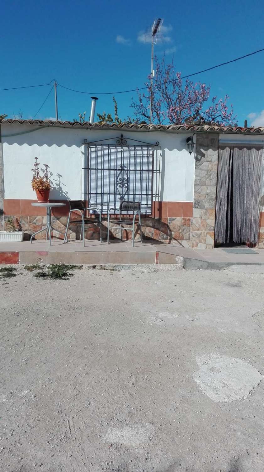 Inmobiliaria Jiménez Huéscar vende 4 viviendas  en la huerta de Mula por sólo 500.000 euros.
