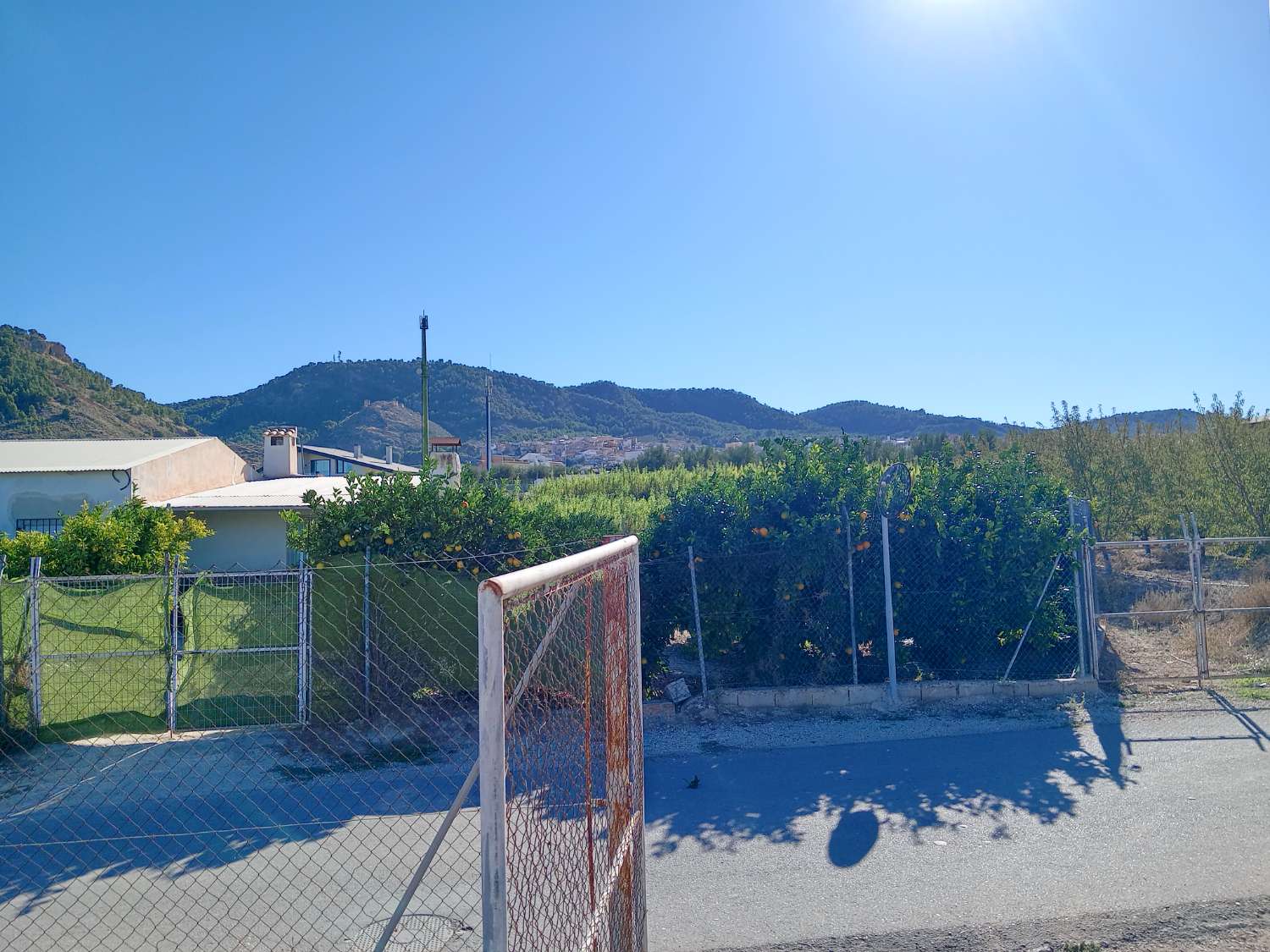 Inmobiliaria Jiménez  Huéscar vende parcela  muy próxima al pueblo de Pliego, Murcia. .
