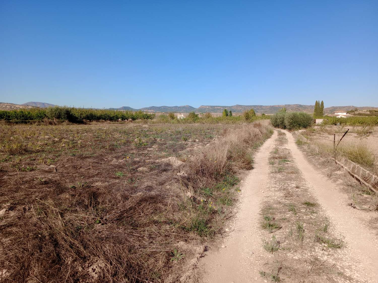 Inmobiliaria Jiménez  Huéscar vende parcela  muy próxima al pueblo de Pliego, Murcia. .