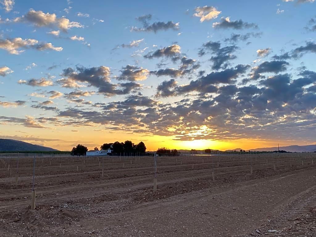 Rodinný dům v pronájmu in Caravaca de la Cruz