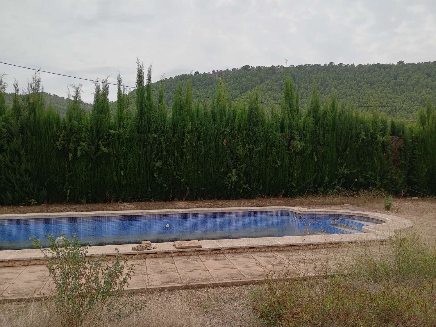 Chalet en venta en Pliego